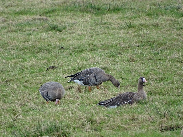辉煌的表现 辉煌的表现