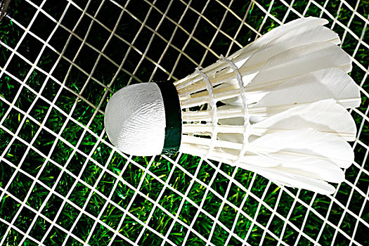 力的均衡化 力的均衡化