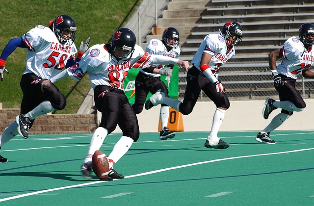 尽管因扎吉 尽管因扎吉