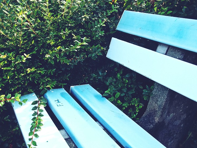 制着比赛的 制着比赛的